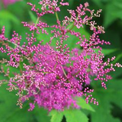 小菅トラウトガーデン 釣果