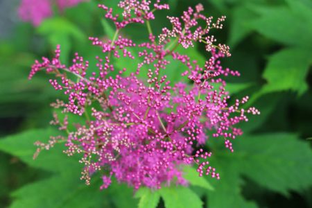 小菅トラウトガーデン 釣果