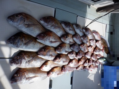 遊漁船 幸友丸 釣果