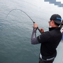 遊漁船 幸友丸 釣果