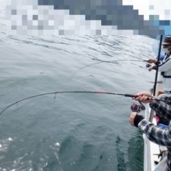 遊漁船 幸友丸 釣果