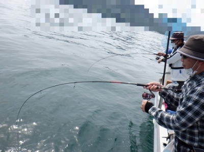 遊漁船 幸友丸 釣果