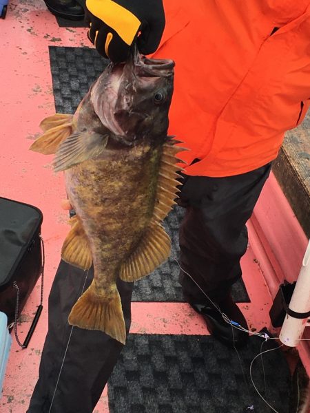 第八平成丸 釣果