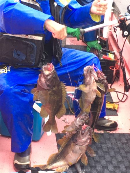 第八平成丸 釣果