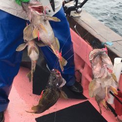 第八平成丸 釣果