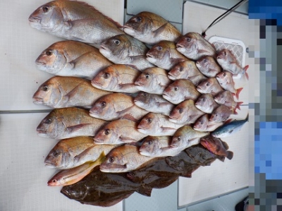 遊漁船 幸友丸 釣果