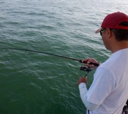 遊漁船 幸友丸 釣果