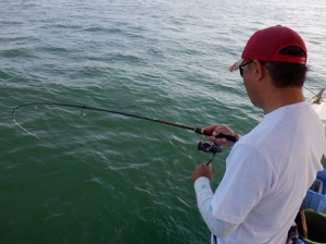 遊漁船 幸友丸 釣果