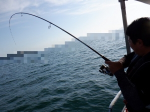 遊漁船 幸友丸 釣果