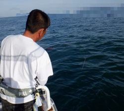 遊漁船 幸友丸 釣果