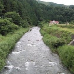 大井川(大井川(非)漁業協同組合) 釣果