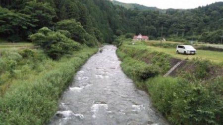 大井川(大井川(非)漁業協同組合) 釣果