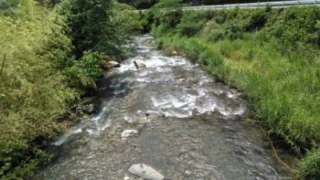 大井川(大井川(非)漁業協同組合) 釣果