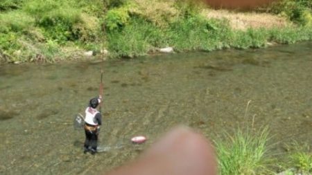 大井川（大井川(非)漁業協同組合） 釣果