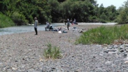 大井川(大井川(非)漁業協同組合) 釣果