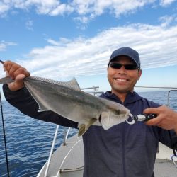 ブルーピア 釣果