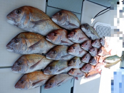 遊漁船 幸友丸 釣果