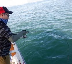 遊漁船 幸友丸 釣果