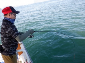 遊漁船 幸友丸 釣果