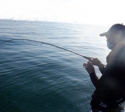 遊漁船 幸友丸 釣果