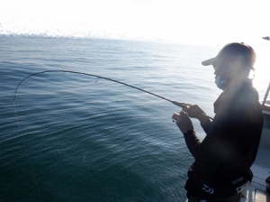 遊漁船 幸友丸 釣果