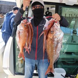 松本釣船２ 釣果