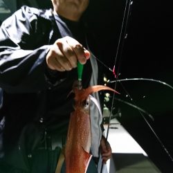 海龍丸（福岡） 釣果