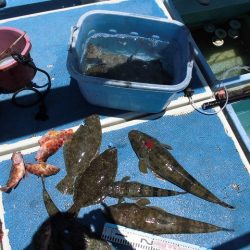 十八宝洋丸 釣果