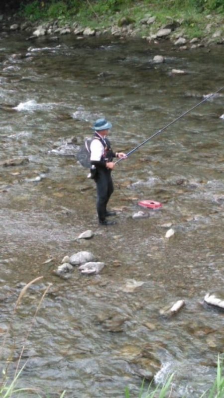 大井川（大井川(非)漁業協同組合） 釣果