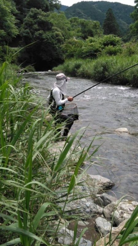 大井川（大井川(非)漁業協同組合） 釣果
