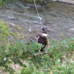 大井川（大井川(非)漁業協同組合） 釣果