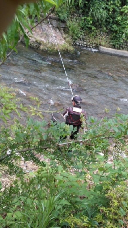 大井川（大井川(非)漁業協同組合） 釣果