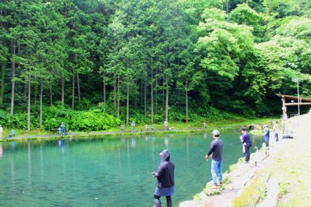 小菅トラウトガーデン 釣果