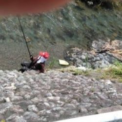 大井川(大井川(非)漁業協同組合) 釣果