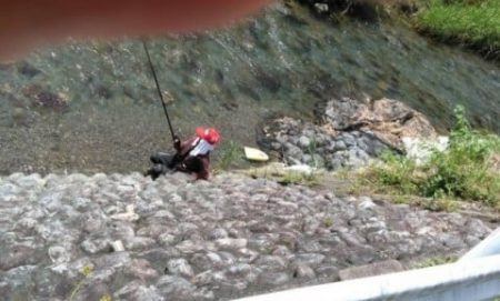 大井川(大井川(非)漁業協同組合) 釣果