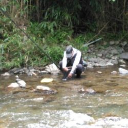 大井川(大井川(非)漁業協同組合) 釣果