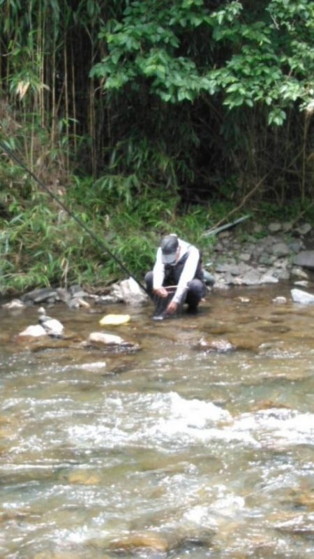 大井川（大井川(非)漁業協同組合） 釣果
