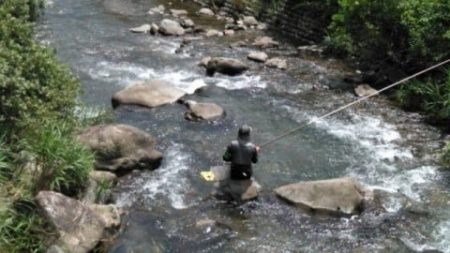 大井川(大井川(非)漁業協同組合) 釣果