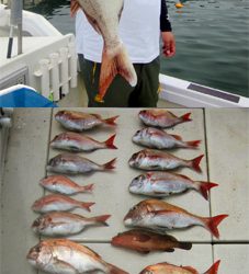 来温丸(らいおんまる) 釣果