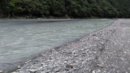 大井川(大井川(非)漁業協同組合) 釣果