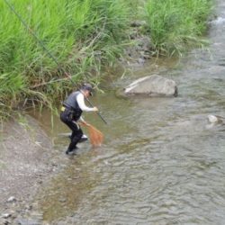 大井川(大井川(非)漁業協同組合) 釣果