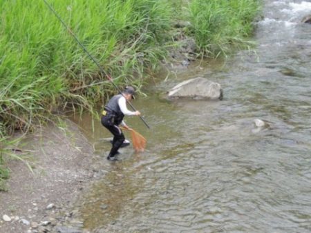 大井川（大井川(非)漁業協同組合） 釣果