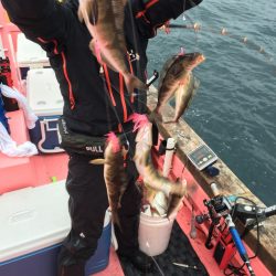 第八平成丸 釣果