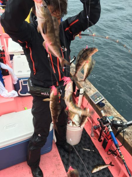 第八平成丸 釣果