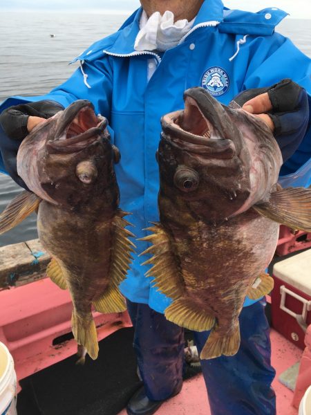 第八平成丸 釣果