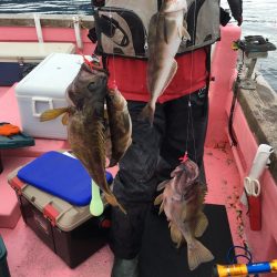 第八平成丸 釣果