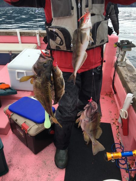 第八平成丸 釣果