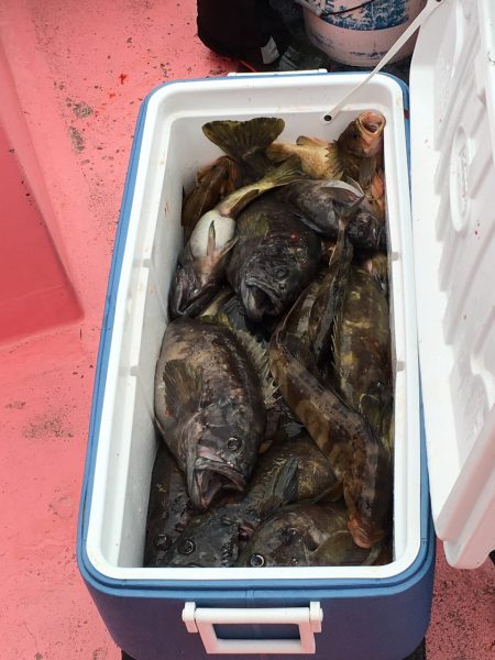 第八平成丸 釣果