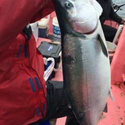 第八平成丸 釣果