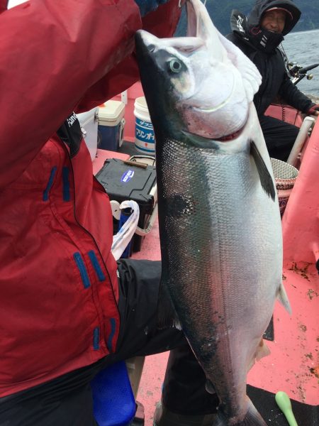 第八平成丸 釣果